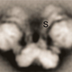 A closeup of the ATP synthase molecule, an enzyme required for making the ubiquitous energy molecule, ATP (Image: Dudkina et al, FEBS Letters (2010))